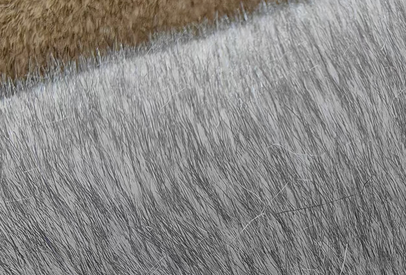 Tissu en fourrure de renard imitation cationique bicolore, 1200 mg x 185 cm Tissu en fourrure de renard imitation cationique bicolore, 1200 mg x 185 cm